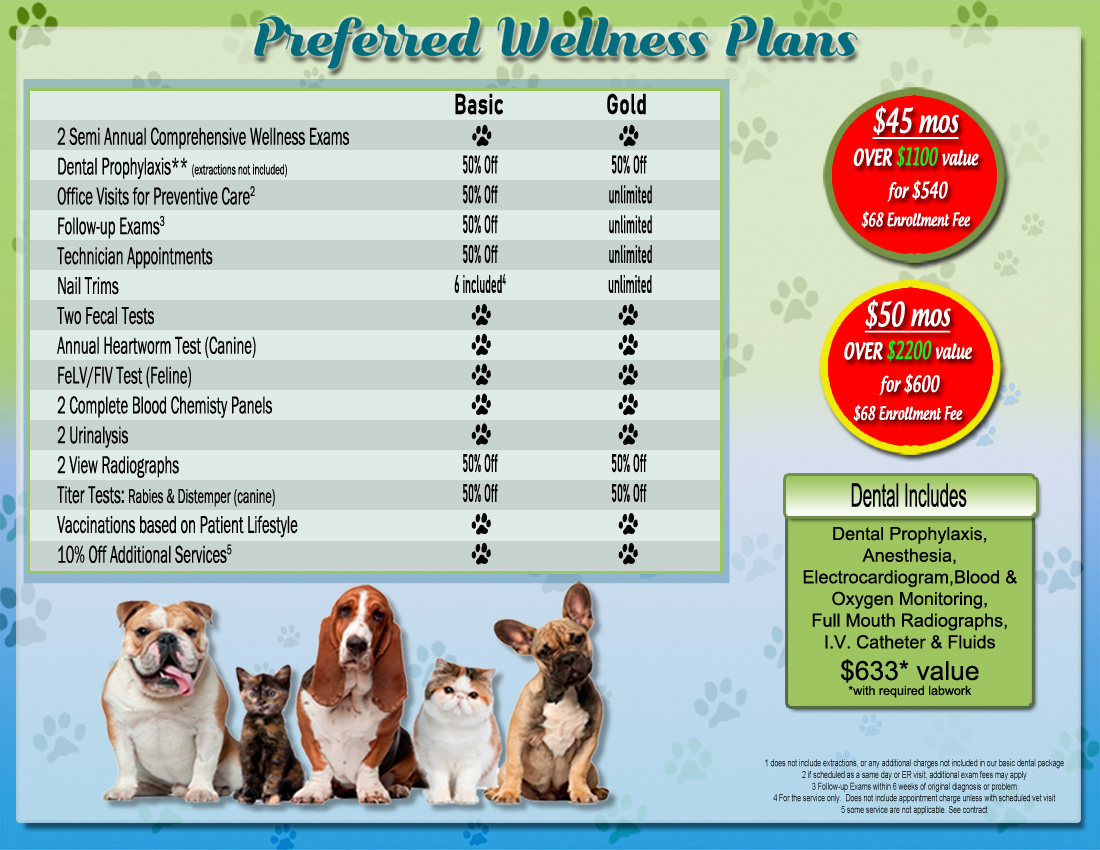 Wellness Plan Brochure Inside 2021